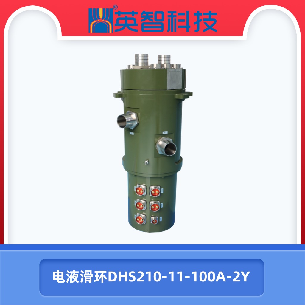 DHS210-11-100A-2Y电液91免费香蕉污视频.jpg
